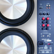 DS12_subwoofer
